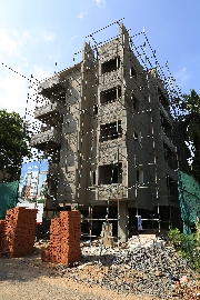 ojas  photos
