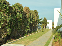 ashraya  photos