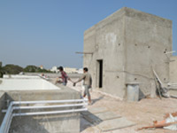 ojas  photos