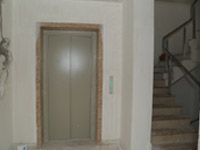 ojas  photos